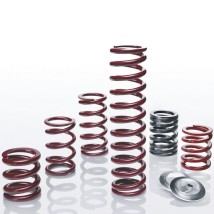 Eibach ERS springs